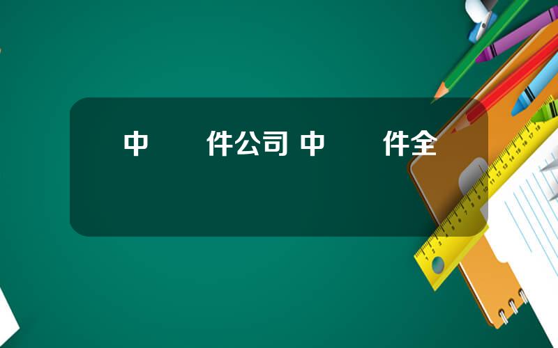 中華軟件公司 中國軟件全稱